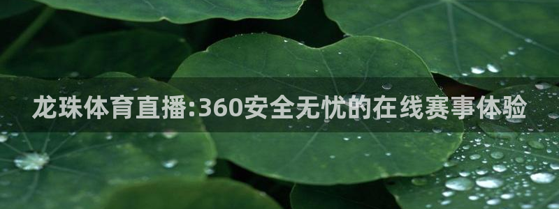 下载咪咕视频体育频道直播：龙珠体育直播:360安全无忧的在线赛事体验