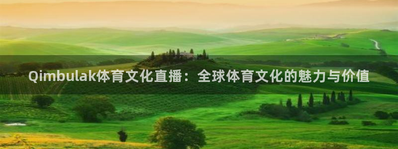 下载咪咕视频app下载安装：Qimbulak体育文化直播：全球体育文化的魅力与价值