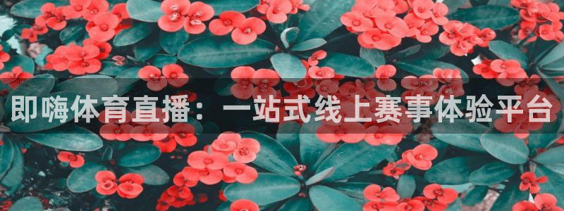 咪咕体育赛事直播：即嗨体育直播：一站式线上赛事体验平台