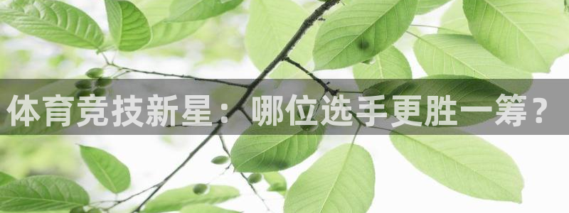 咪咕直播手机版：体育竞技新星：哪位选手更胜一筹？