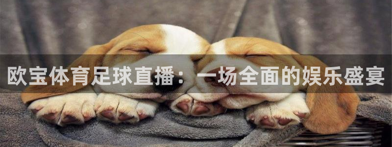 免费看咪咕体育直播：欧宝体育足球直播：一场全面的娱乐盛宴