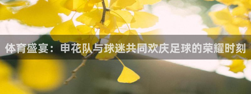 咪咕体育赛事直播：体育盛宴：申花队与球迷共同欢庆足球的荣耀时刻