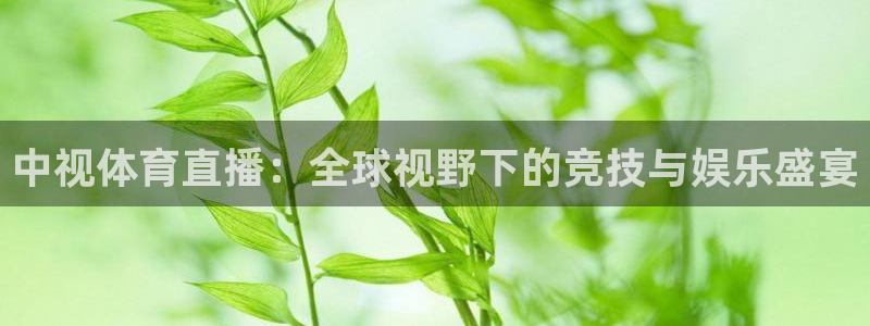 咪咕视频官方免费下载：中视体育直播：全球视野下的竞技与娱乐盛宴