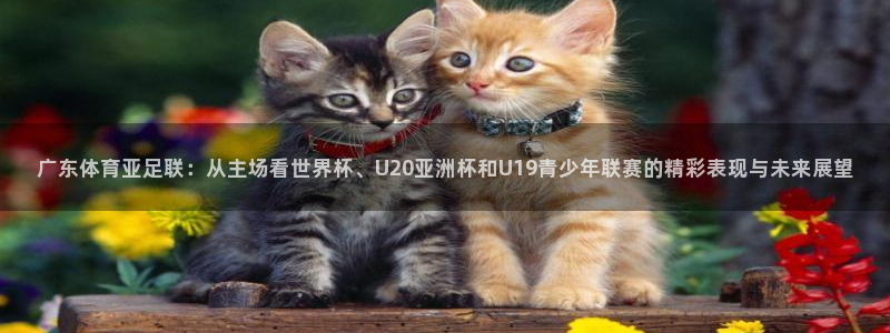 咪咕体育直播在线：广东体育亚足联：从主场看世界杯、U20亚洲杯和U19青少年联赛的精彩表现与未来展望