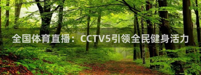 咪咕篮球直播免费观看：全国体育直播：CCTV5引领全民健身活力